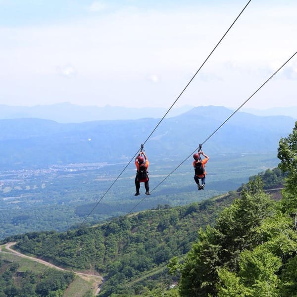 Lotte Arai Resort: The zip tour